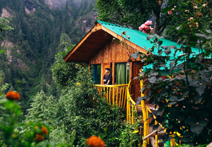 Jibhi (Tirthan Valley, Shoja, Jalori Pass)